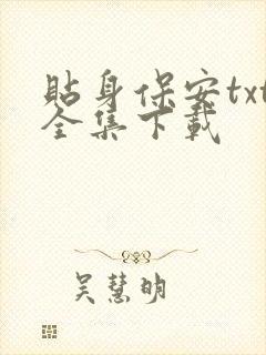 贴身保安txt全集下载