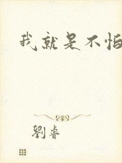 我就是不怕小说