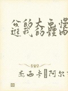 公的大龟慢慢挺进我的体内视频