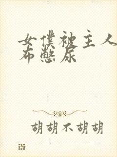 女仆被主人用胶布憋尿