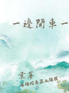 一边开车一边做