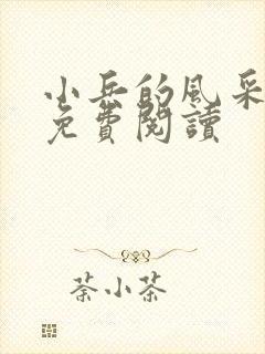 小兵的风采小说免费阅读