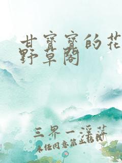 甘宝宝的花苞澜野草阁