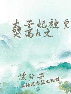 太子妃被皇上c哭高h文