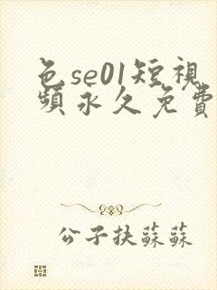 色se01短视频永久免费