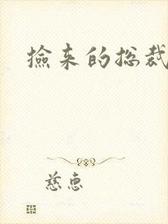 捡来的总裁儿子