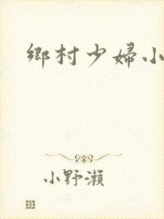 乡村少妇小说