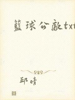篮球公敌txt