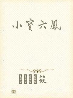 小宝六凤