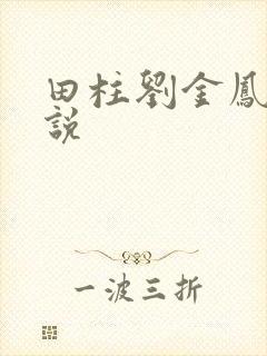 田柱刘金凤的小说