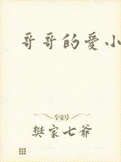 哥哥的爱小说