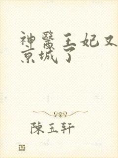 神医王妃又轰动京城了