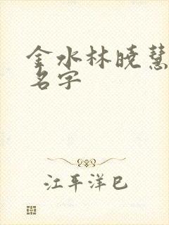 金水林晓慧小说名字