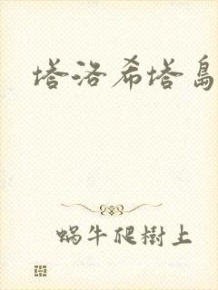 塔洛希塔岛小说