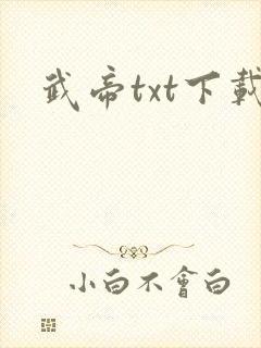 武帝txt下载