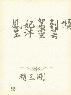 凤妃驾到倾倒众生沐灵芸