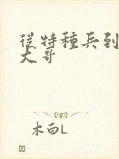 从特种兵到黑道大哥