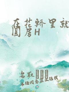 在花轿里就开始圆房H