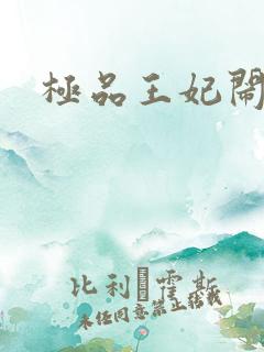 极品王妃闹王府