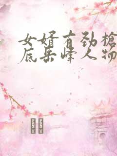 女婿有劲枪枪到底岳峰人物小说