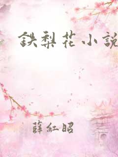 铁梨花小说