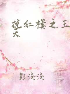 挽红楼之玉舞九天