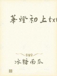 华灯初上txt