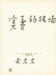 冷王的爬墙丑妃免费