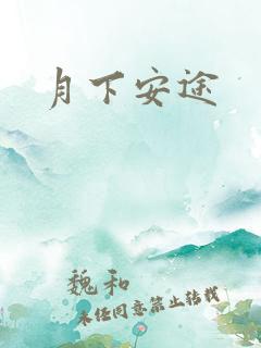 月下安途