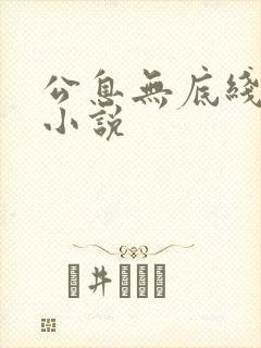 公息无底线的爱小说