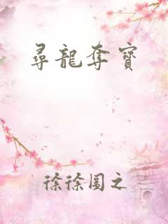 寻龙夺宝