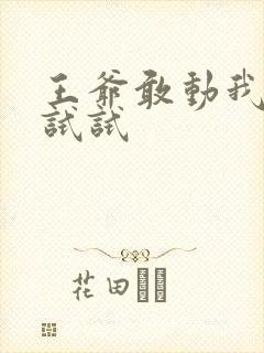 王爷敢动我妈咪试试