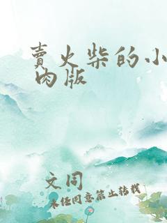 卖火柴的小男孩 肉版