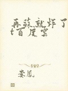 再苏就炸了txt百度云