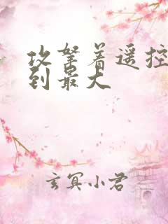 攻拿着遥控器开到最大