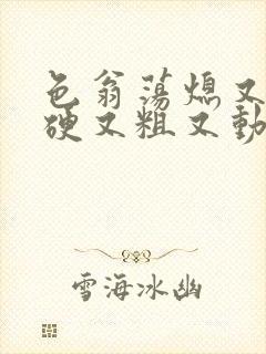 色翁荡熄又大又硬又粗又动态图