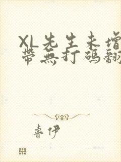 XL先生未增删带无打码翻译
