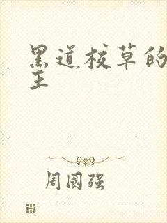 黑道校草的冷公主