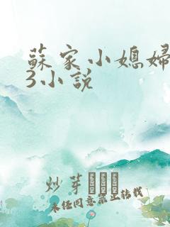苏家小媳妇1V3小说