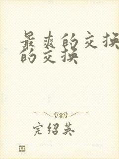 最爽的交换疯狂的交换