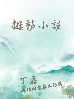 挺动小说