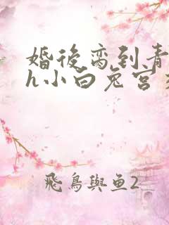 婚后脔到青梅哭h小白兔宫交h