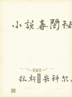 小说春闺秘史