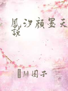 凤汐颜墨天问小说