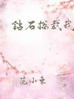 钻石总裁我已婚