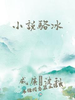 小说骆冰