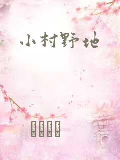 小村野地