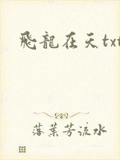 飞龙在天txt