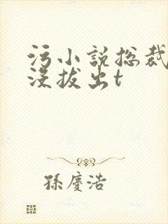 污小说总裁整夜没拔出t