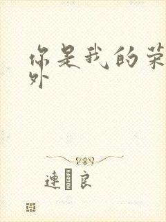 你是我的荣耀番外